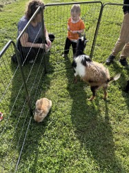 Mobile Petting Zoo