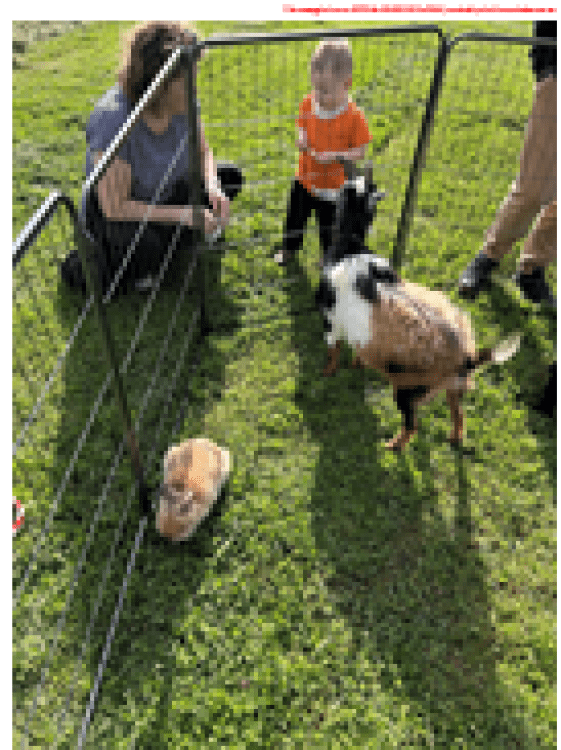 Mobile Petting Zoo